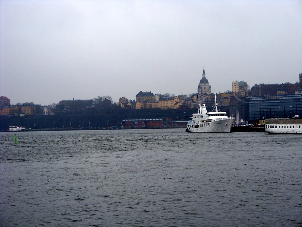 Stockholm Suede (11)