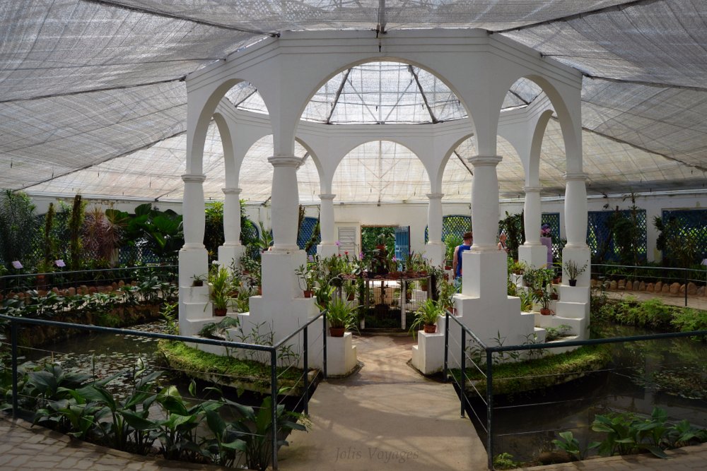 Jardin botanique Rio