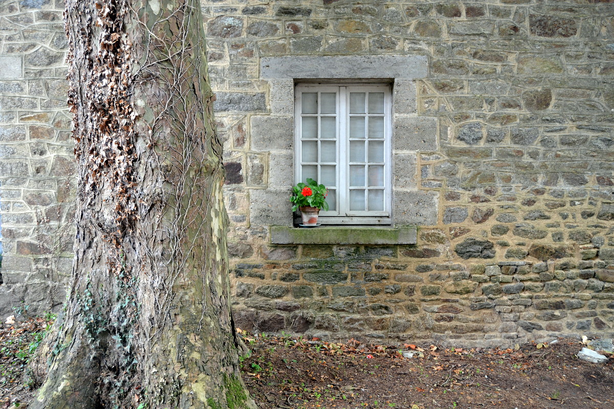 Fontaine Daniel village de Mayenne