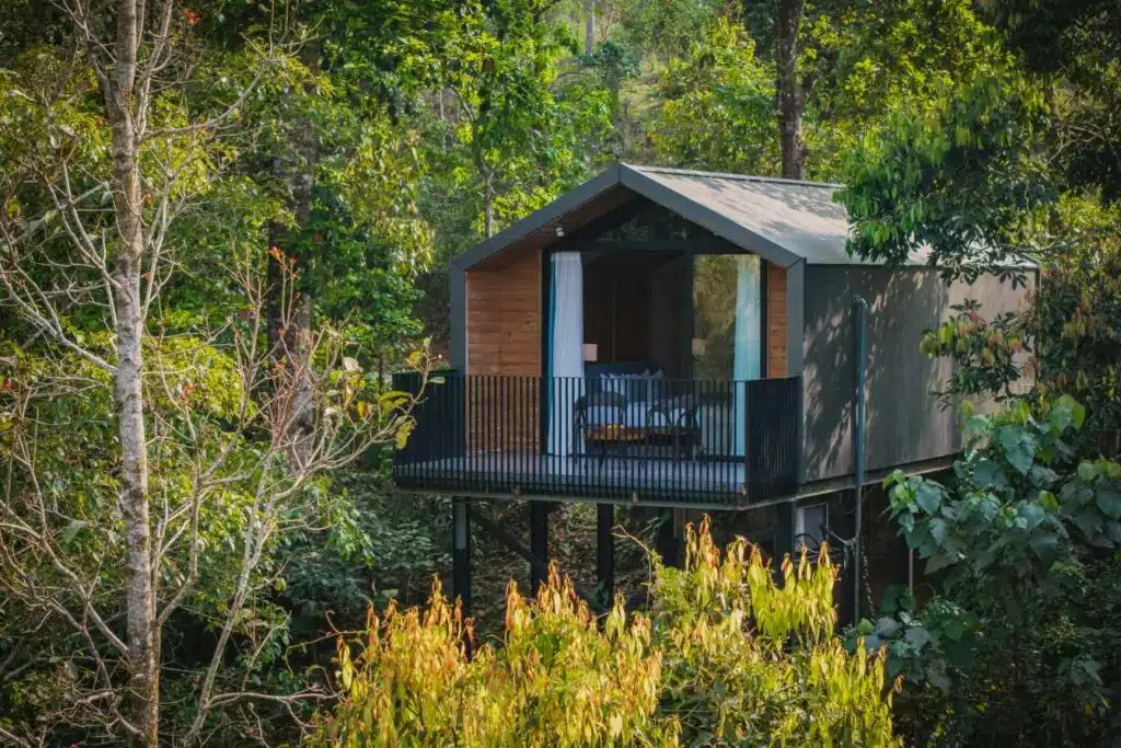 cabane nuit