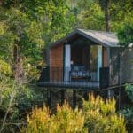 cabane nuit