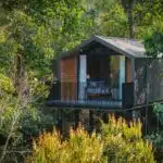 cabane nuit
