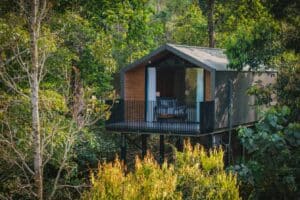 cabane nuit