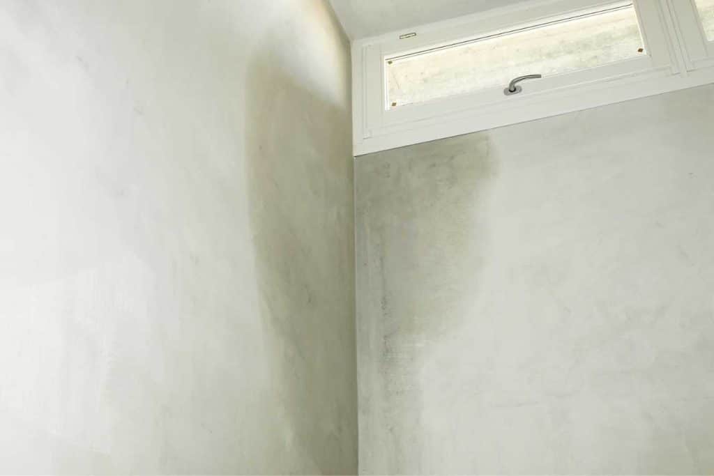 mur humide 1