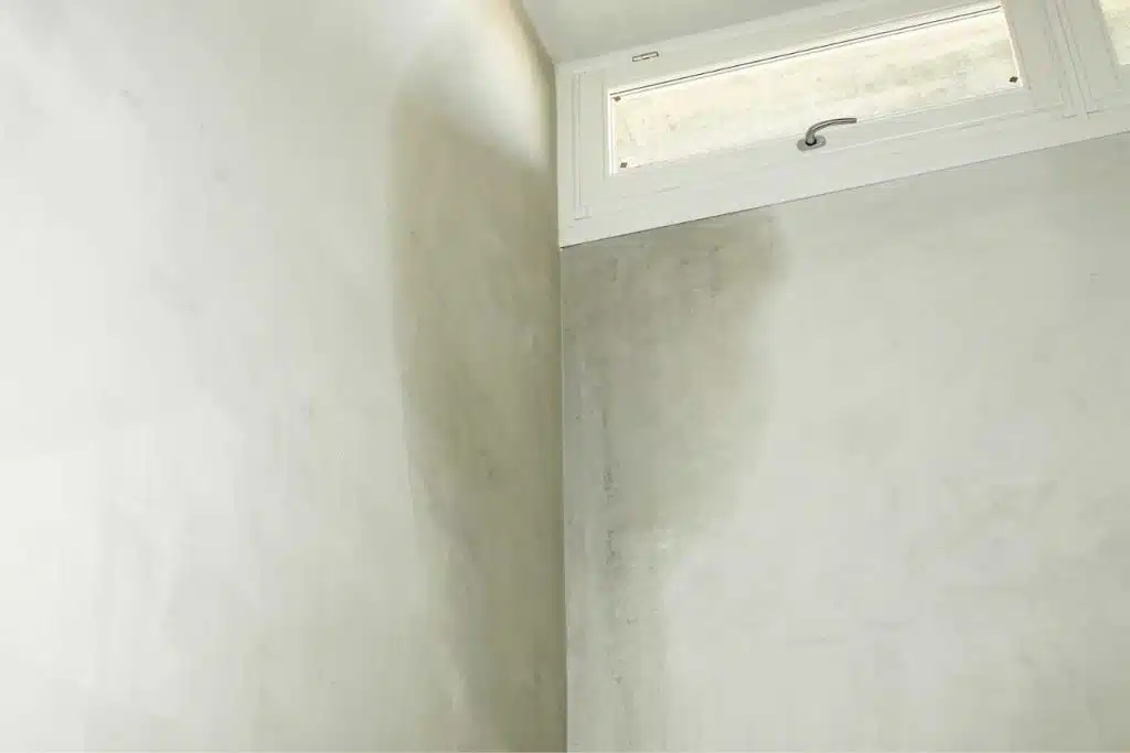 mur humide 1