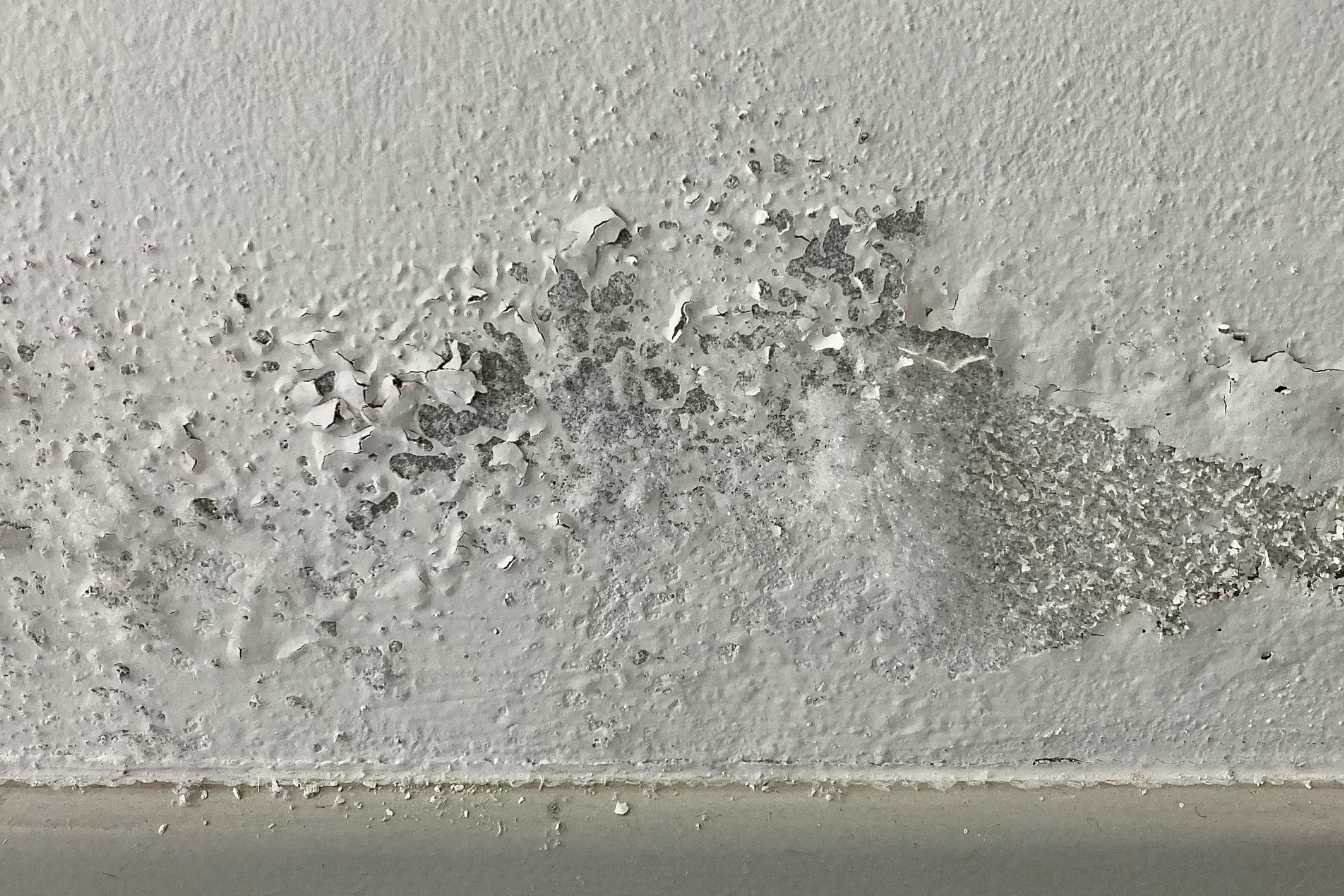 mur-humide-2