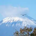 voyager au rythme des saisons guide pour optimiser vos aventures toute l annee 1