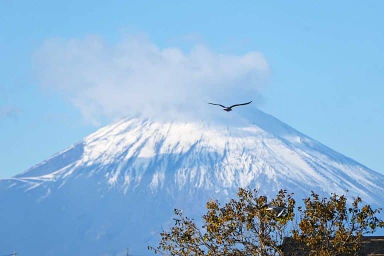 voyager au rythme des saisons guide pour optimiser vos aventures toute l annee 1